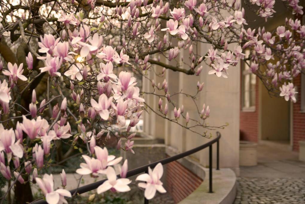 Elegant Apartment In The City Center Wrocław Zewnętrze zdjęcie